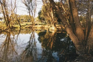 Hacienda San Luis de Letras