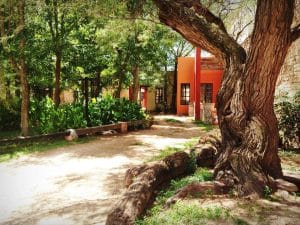 Hacienda San Luis de Letras