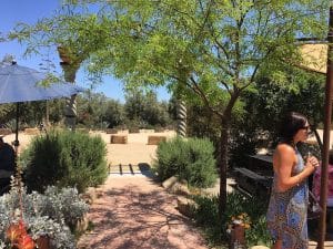 Adobe Guadalupe Vineyards & Inn