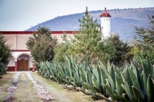 Hacienda San Buenaventura