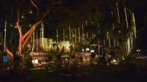 Hacienda Selva Maya