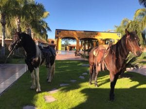 Hacienda del Sol