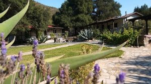 Rancho El Molinito