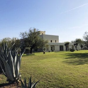 Hacienda San Pedro (UANL)