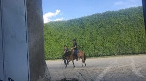 Hacienda Santa Teresa