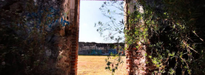 Ex-Hacienda De La Concepción