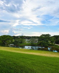 Hacienda Ardisana