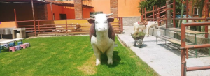Granja Recreativa Tio Enrique