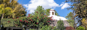 Hacienda del Lago Querétaro